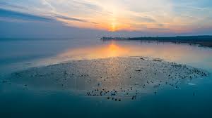 A balatonudvari fizetős strand a kultúrház után, a vasúti átjárón továbbhaladva érhető el. Enten Im Eisloch Beim Sonnenuntergang Am Plattensee Wunderbarerbalaton De
