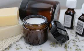 Willemse, spécialiste du jardinage : Jardinerie En Ligne Notre Guide Des Meilleurs Sites Web Koifaire