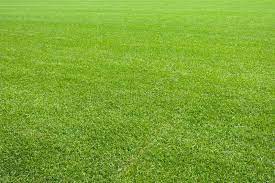 Natural Lawn Green Grass Texture Royalty Free Stock Image Grass Textures Green Lawn Grass