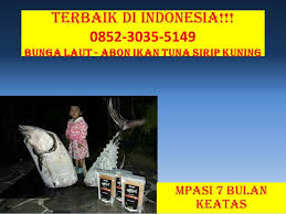 Maybe you would like to learn more about one of these? Resepi Ikan Untuk Anak Usia 1 Tahun Resepimyresepi Boloit Com