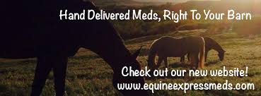 Respiratory therapy cardiac anatomy and physiology cardiac nursing medical nursing tips medical knowledge medical science nurse. Equine Express Meds Home Facebook