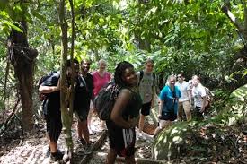 It was founded in the year 1929 and is one of the leading. Forest Research Institute Malaysia Frim Kuala Lumpur Book Tickets Tours Today