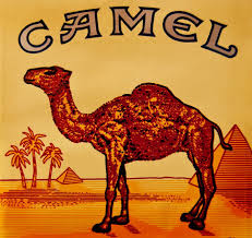 Camel coupons should always be on you, like your matchbox, or lighter, and if you don't have one, ask a friend to get you one, just like they'd light your cigarette for. Pin On P Tow N
