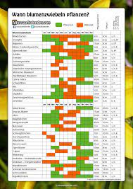 Träumen sie von farbtupfern im rasen? Blumenzwiebeln Pflanzen Schema Pflanzzeiten Und Bluhzeiten