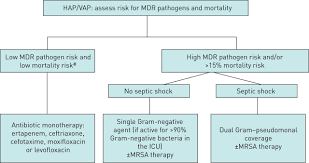 Summary Of The International Clinical Guidelines For The