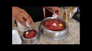 Si planeas agregar premios, las frutas y verduras son excelente opción ya que beneficiaran la salud a pequeña escala a diferencia de los bocadillos hechos a base de harinas. Comida Para American Bully Pitbulls Y Perros De Alto Rendimiento Youtube