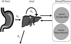 Image result for Meprobamate