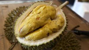 Name of local indian fruits in english, tamil, malayalam and hindi. Why China Loves Durian The Smelly Fruit Popular In Thailand Singapore And Malaysia But Banned In Hotels And On Public Transport In Many Countries Across Asia South China Morning Post