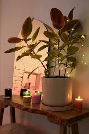 We did not find results for: 26 Gorgeous Ways To Decorate Your Home With String Lights
