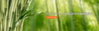 Because of peculiar blackish culms, it is highly priced for landscaping. Malaysia Bamboo Raw Material Supplier Malaysia Bamboo