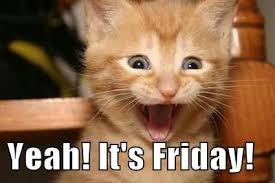 Kristy Sherman Its Friday Cat Meme Yeah yeah its friday afternoon!!! kristy sherman its friday cat meme