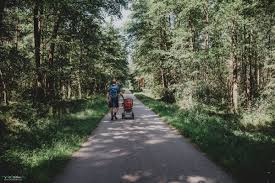 Последние твиты от puszcza niepołomicka (@niepolomicka). Puszcza Niepolomicka Dobra Na Spacery Rowery I Cos Jeszcze