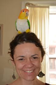 Poetry The Art of Words