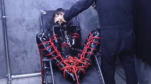 车模兽兽不雅视频调教