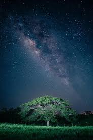 Image result for wallpaper