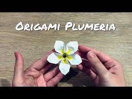 How To Make An Origami Plumeria Flower Paper Plumeria Flower Youtube Paper Flowers Origami Flowers Origami