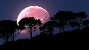Influența fazelor lunii asupra tunderii și vopsitului. Horoscop Special Ce Influenta Are Pentru Zodia Ta Luna Plina Capsunie In Sagetator De Luni 17 Iunie 2019 Este Ultima Luna Plina Inainte De Eclipsele Verii Pagina 2 Din 3 Sfatulparintilor Ro