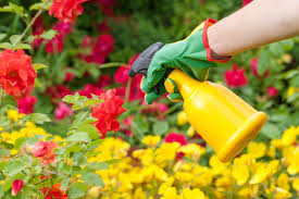 Residential gardening in america produces 80 million pounds of pesticides each year. Pesticide Application Timing When Is The Best Time To Use A Pesticide