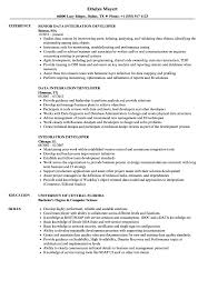 integration developer resume samples