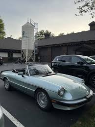 Image result for Gray 1984 Alfa-Romeo