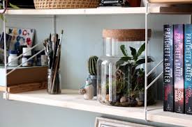 Ein garten im glas ist die ideale möglichkeit, natur ins haus zu holen. Einmal Giessen Und Gut Is Der Ewige Flaschengarten Neue Etage