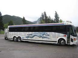 Florida City Buying One Way Bus Tickets For Homeless Greyhound Bus Luxury Bus Greyhound