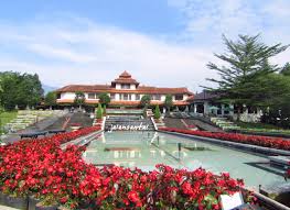 Saat ini, ada sekitar 346 hotel yang dapat kamu pesan di taman bunga nusantara. Memanjakan Mata Di Taman Bunga Nusantara Paling Enak Emang Jalan Jalan