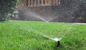 Wake forest water garden job 1. Lawn Sprinkler System Repair Sprinkler Irrigation Services