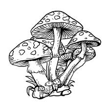 There are many psychedelic mushroom tattoo designs are available and it will give the looks cool and fair. Mushroom Tattoo Morel Mushroom Tattoo 2021 New Tattos Types