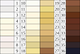 file felix von luschan skin color chart svg wikimedia commons