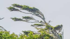 Meteo in Toscana, rapido ingresso del freddo: scatta l’allerta – La lista dei comuni a rischio