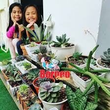 Kulitnya yang putih mulus, buah dada yang besar dengan putingnya yang kecoklatan, dan juga. Ibu Bapa Berperanan Penting Sedia Aktiviti Untuk Anak Utusan Borneo Online