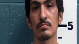 Suspected shoplifter attempted escape from police