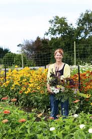Maybe you would like to learn more about one of these? We Visited Flower Farm Paradiselost To See The Gardens Grow Homestyle