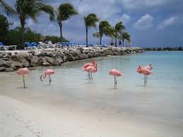 Di silvana benedetti / 8 luglio 2015 viaggi nessun commento. Aruba Quando Andare Meteo Clima Tabella E Diagramma