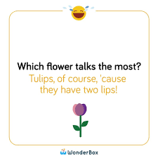 You Searched For Jokes Wonderbox Blog Jokes Wizard School Two Lips