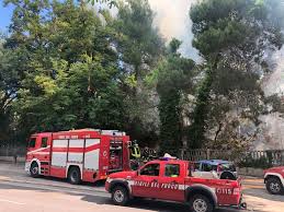 L'incendio che ha aggredito colle renazzo e ha minacciato da vicino il centro abitato e attività al primo allarme il comune di pescara ha immediatamente attivato il centro operativo per il. Incendio Nella Riserva Dannunziana Di Pescara Abruzzo Ansa It