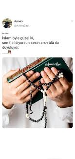 Mustafayeva Sabrina Adli Kullanicinin Guzel Kediler Panosundaki Pin 2020 Guzel Kediler Altin