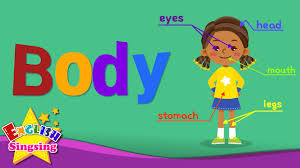 Body parts vocabulary games for esl, memory game, classroom educational games, board games, body parts vocabulary game on ipad, html5 and mobile learners Kids Vocabulary Body Parts Of The Body Learn English For Kids English Educational Video Youtube