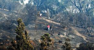 Incendio quilpue cerca de las 15.45 horas del dia lunes 14 de enero de 2008. Sonc7ddn6gq0dm