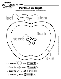 Parts Of An Apple A Freebie Printable From Mybigworld Magazine By Scholastic Apples Autumn Apple Kindergarten Apple Lessons Apple Preschool