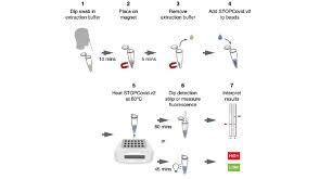 Rapid Test For Covid 19 Shows Improved Sensitivity