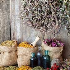 Naturally stop your urinary tract infection at home How I Healed My First Uti Without Antibiotics