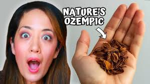 Scentsy Fragrances 2020 Review