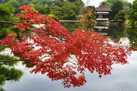 Shurakuen Garden (Former Tsuyama Domain Villa Garden) - Okayama Prefecture  Official Tourism Guide Explore Okayama, the Land of Sunshine
