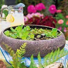 Pond in a pot use large tubs or containers to create a pond in a pot with the help of this diy tutorial. How To Make A Simple Water Garden Better Homes Gardens