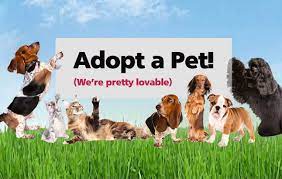 Animal shelter adopt a pet; Wishbone Pet Rescue Animal Shelter And Pet Adoption In Allegan Michigan