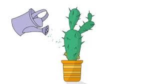 You should water a cactus only when the soil has dried up completely and never before that. How To Grow A Cactus 15 Steps With Pictures Wikihow