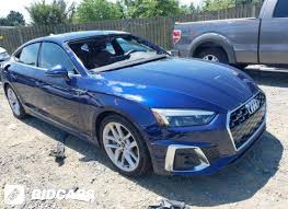 Image result for Navarra Blue 2024 A5