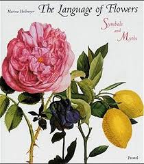 'my love is like a red, red rose, that's newly sprung in june.' so wrote the talented scottish baird, robbie burns, and we all recognise the red rose as the ultimate flower symbol of love. The Language Of Flowers Heilmeyer Marina 9783791323961 Amazon Com Books